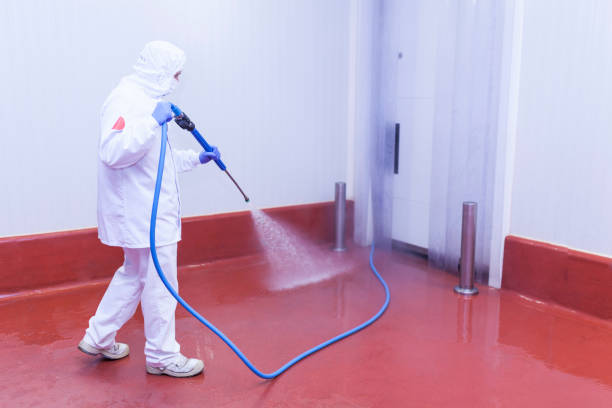 Best Roof Washing  in Lakeview, NY